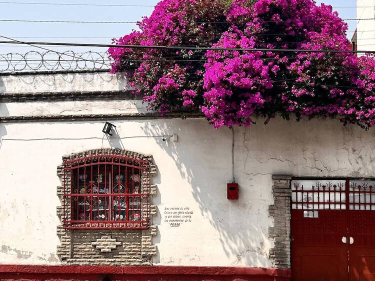 ポルタレス(メキシコシティ) ポルタレス(メキシコシティ)