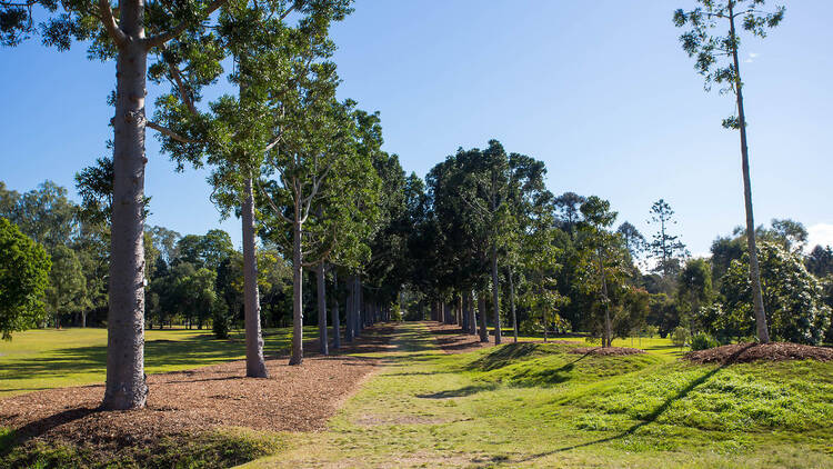 Sherwood Arboretum