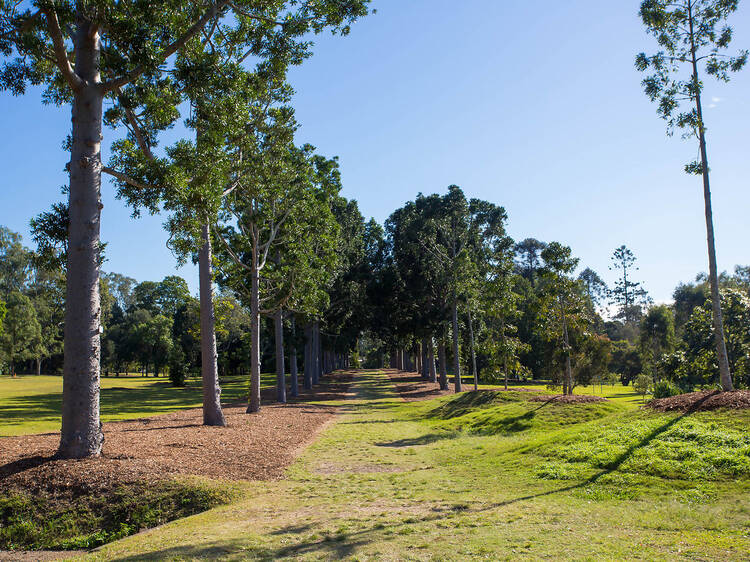 Sherwood Arboretum