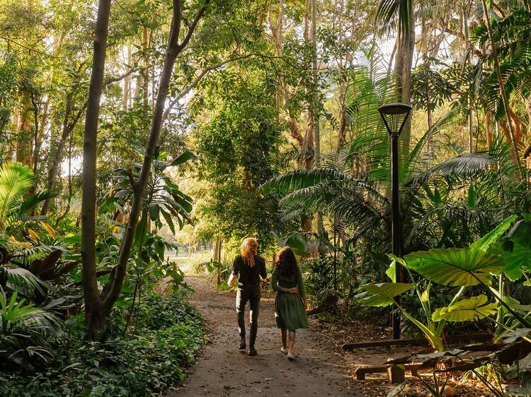 City Botanic Gardens