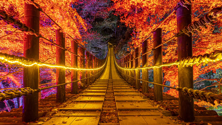 7 ways to enjoy the autumn leaves in Ibaraki prefecture