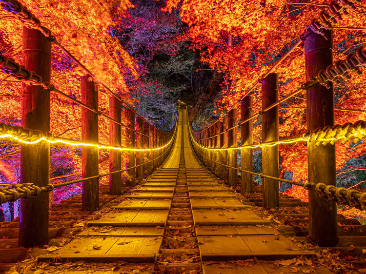 7 ways to enjoy the autumn leaves in Ibaraki prefecture