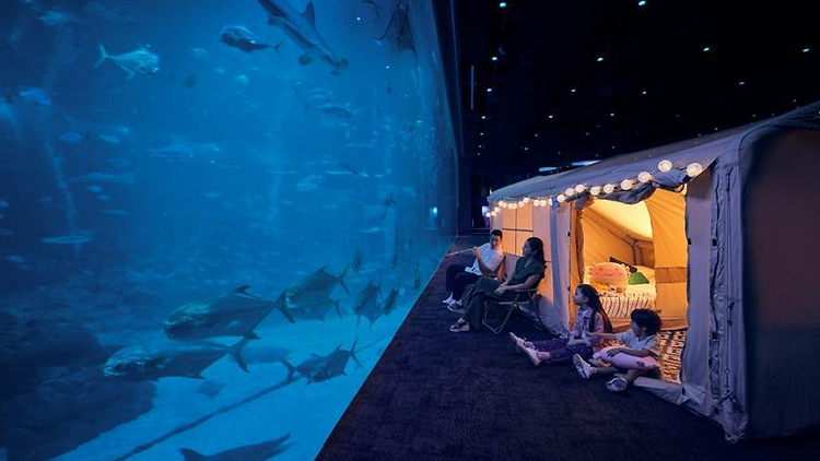 Singapore Oceanarium