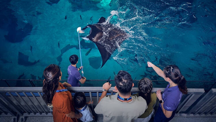 Singapore Oceanarium