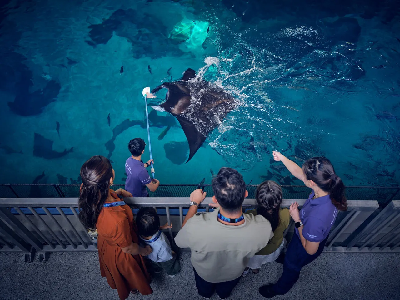 Singapore Oceanarium