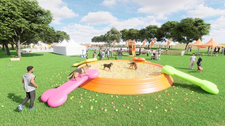 Doggo Fest