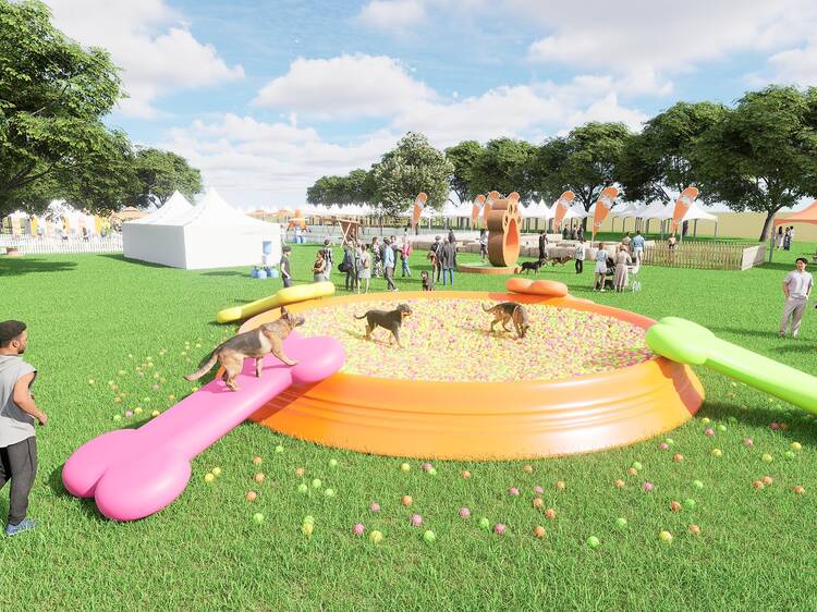 Pet-friendly outdoor festival Doggo Fest is coming to Hong Kong this November
