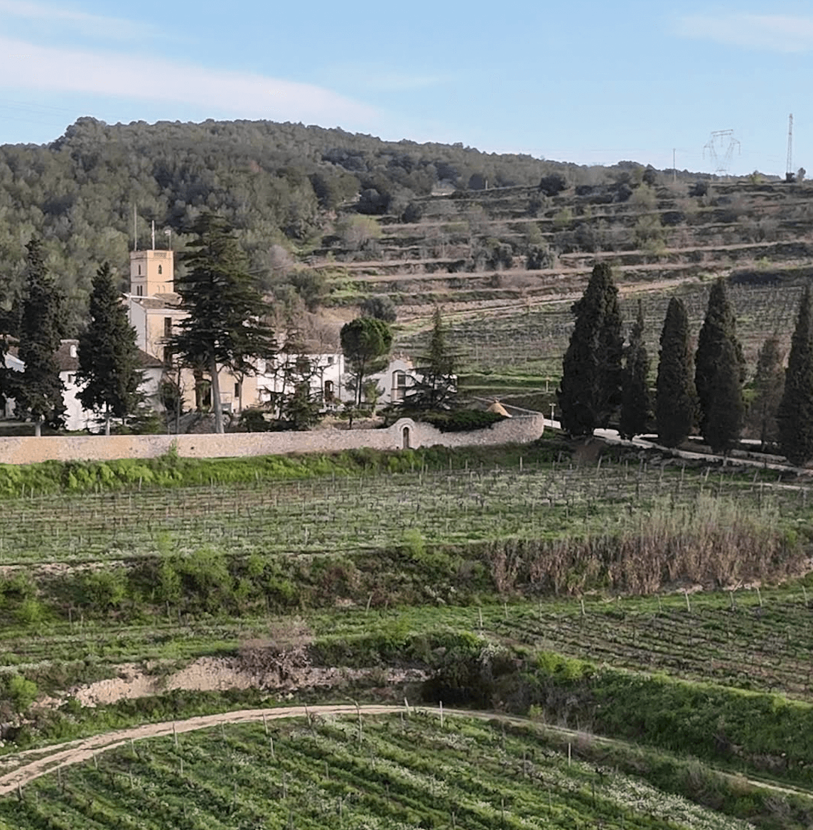 Albet i Noya, bodega ecológica pionera en Alt Penedès
