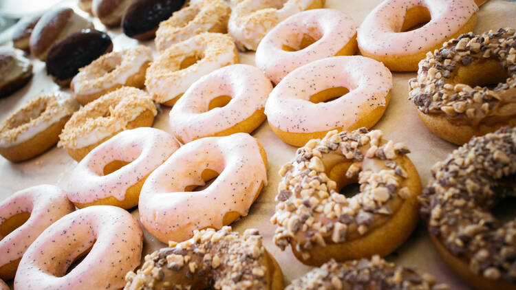 Bear Donut (Bear Donut)
