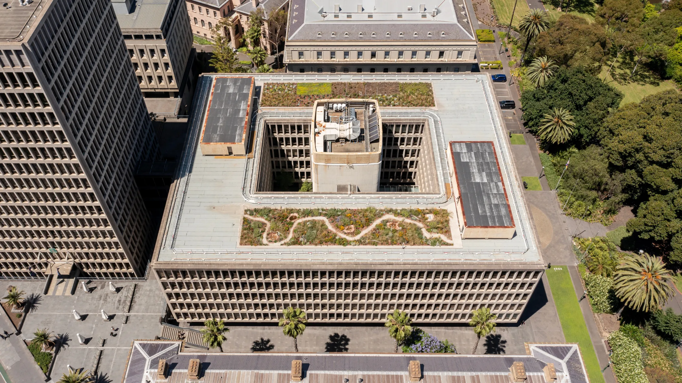 Our Green Roof