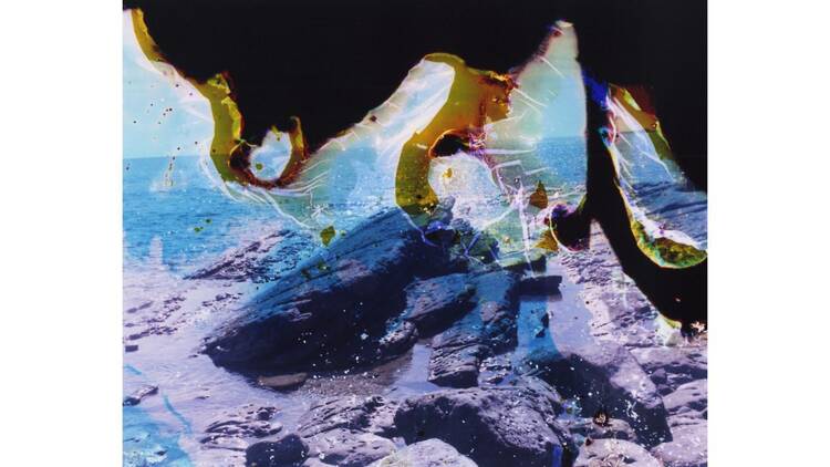 オランダ×千葉 撮る、物語る ーサラ・ファン・ライ&ダヴィット・ファン・デル・レーウ×清水裕貴 オランダ×千葉 撮る、物語る ーサラ・ファン・ライ&ダヴィット・ファン・デル・レーウ×清水裕貴