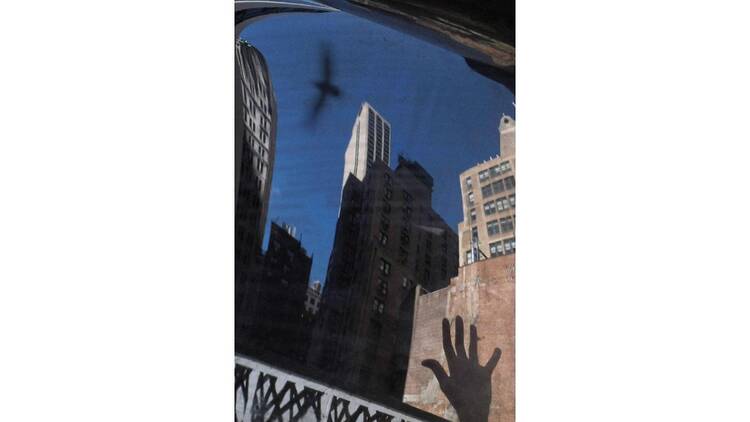 オランダ×千葉 撮る、物語る ーサラ・ファン・ライ&ダヴィット・ファン・デル・レーウ×清水裕貴 オランダ×千葉 撮る、物語る ーサラ・ファン・ライ&ダヴィット・ファン・デル・レーウ×清水裕貴