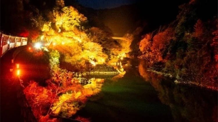 Sagano Romantic Train Sagano Romantic Train