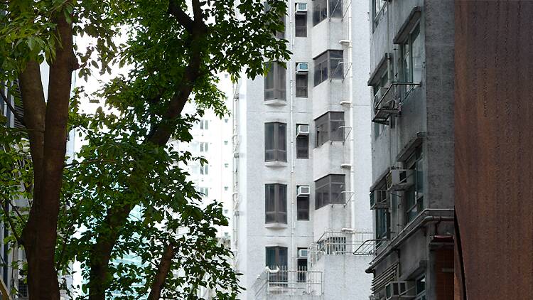 灣仔小木屋 Grandma’s Scones