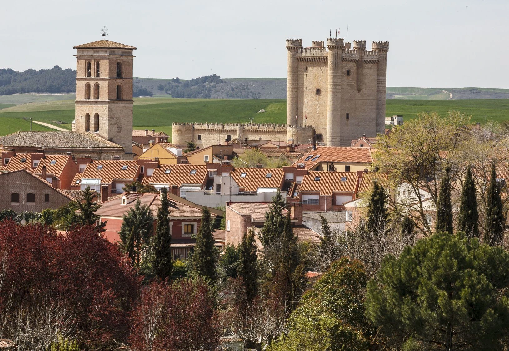Castillo de Fuensalda&ntilde;a. Turismo de Castilla y Le&oacute;n, Pablo Requejo