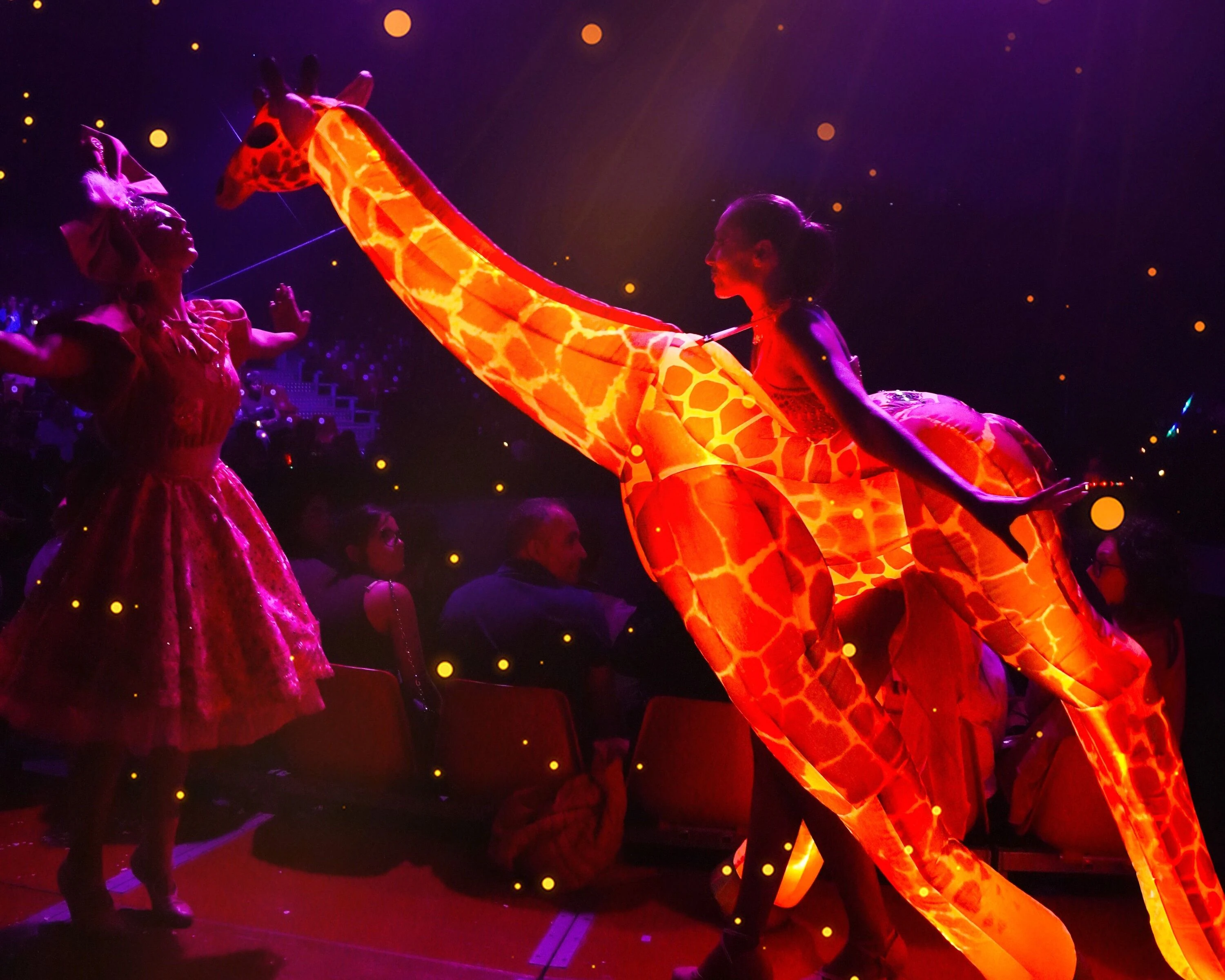 El Circo de la Luz. Circo Alegr&iacute;a