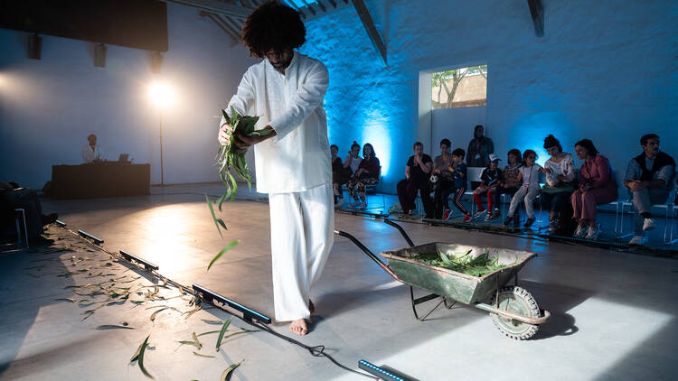 Serei/Afrodiaspórica