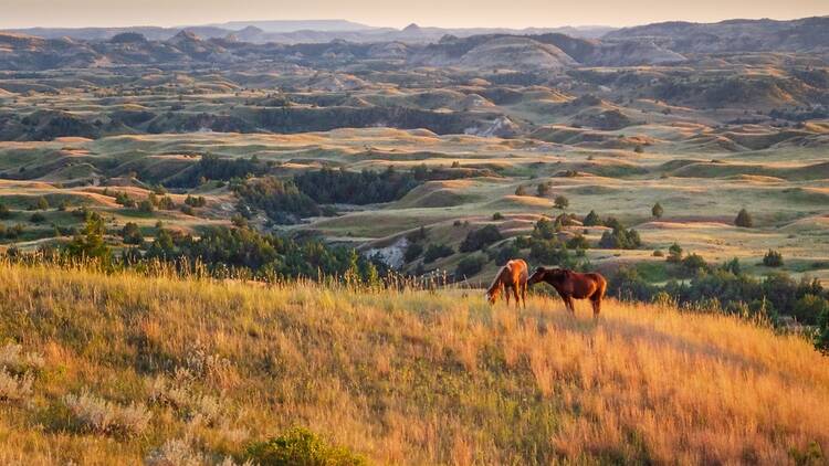 Theodore Roosevelt National Park, North Dakota Badlands