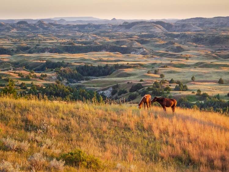 The best travel destinations for 2026 named – from an American national park to a northern English city The best travel destinations for 2026 named – from an American national park to a northern English city