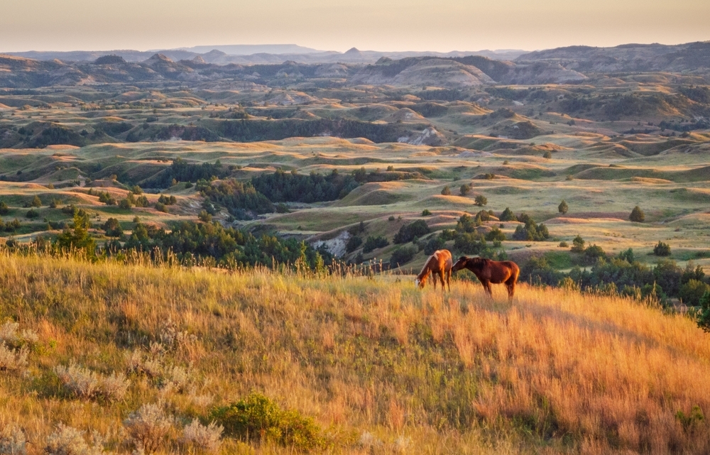 The best travel destinations for 2026 named – from an American national park to a northern English city