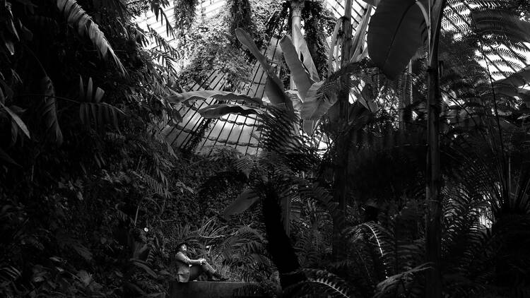 26 mujeres en las ciencias, artes y letras (Real Jardín Botánico).