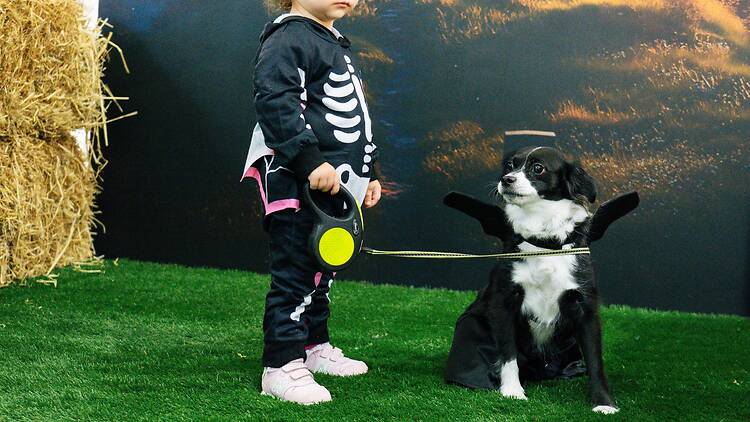 Halloween en Islazul. 