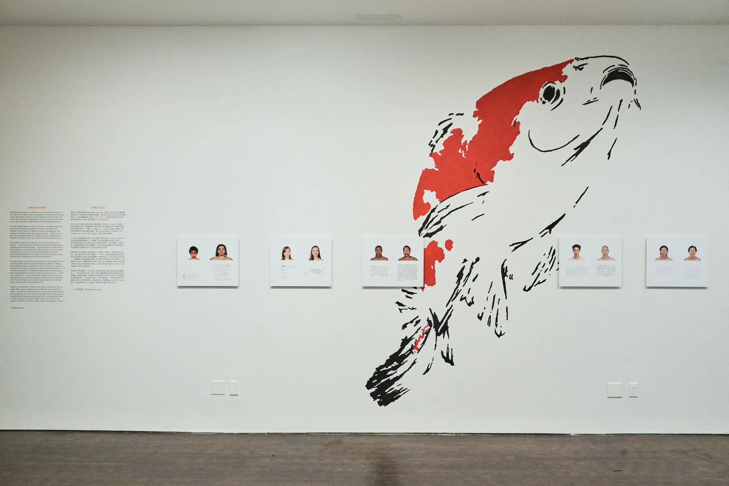 A photography exhibit on display in front of a fish mural on the wall
