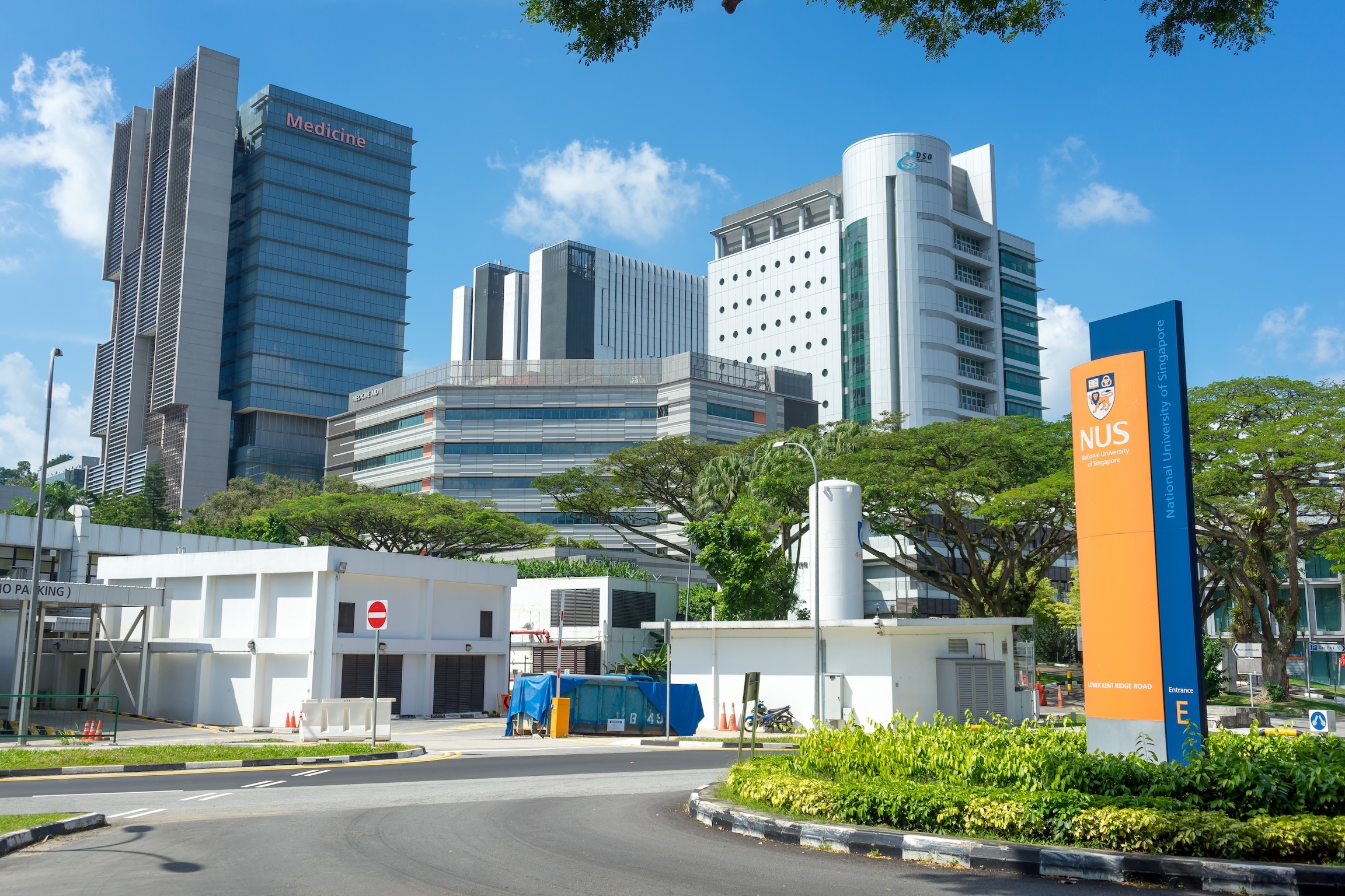 Singaporeans Have Some of the Highest IQs in the World, Number One in Southeast Asia