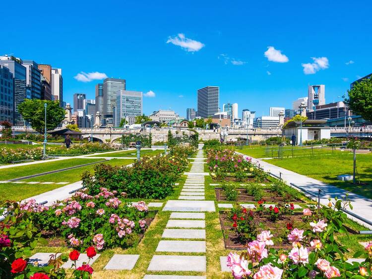 Nakanoshima Park Nakanoshima Park