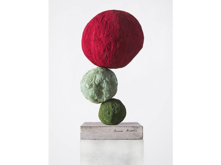 アニー・モリス & イドリス・カーン A Petal Silently Falls – ひとひらの音