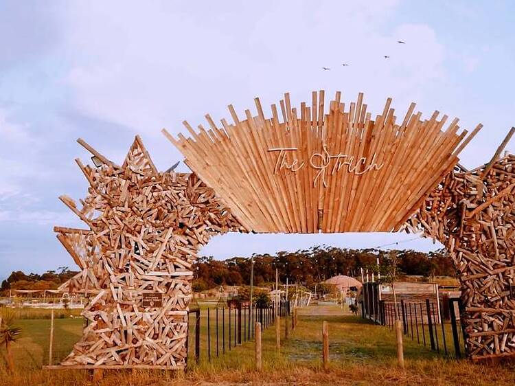The Ostrich