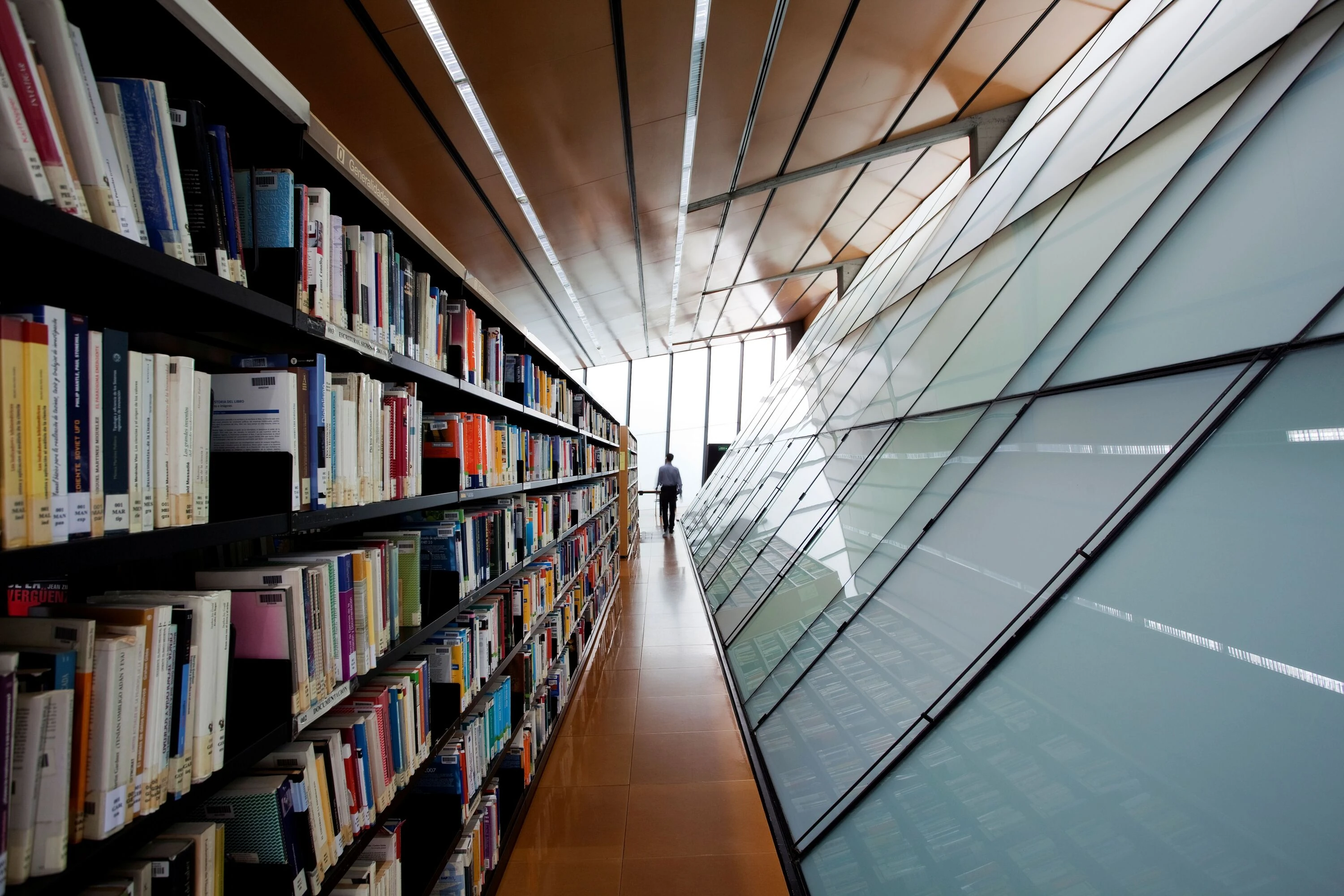 Biblioteca P&uacute;blica Rafael Alberti. Comunidad de Madrid