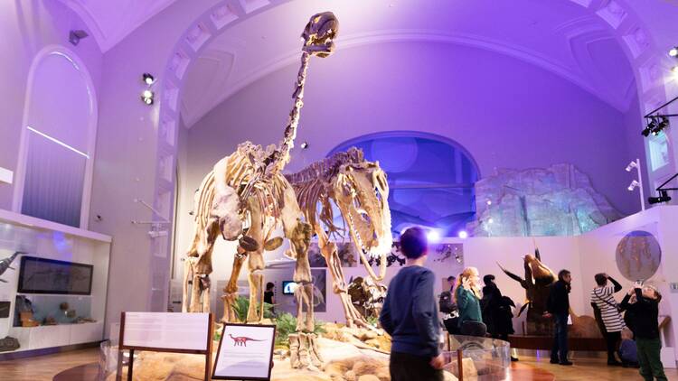 Tutustu dinosauruksiin Luonnontieteellisessä museossa Tutustu dinosauruksiin Luonnontieteellisessä museossa