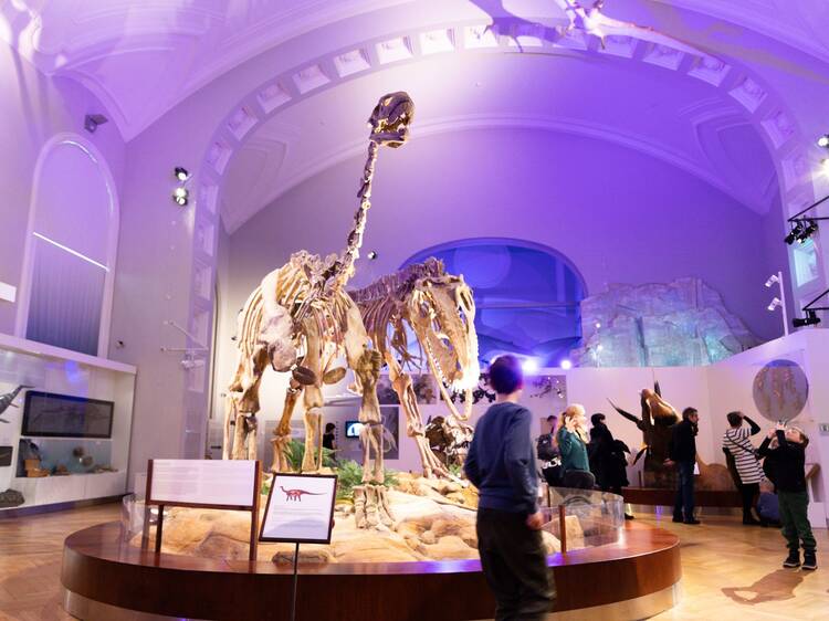 Tutustu dinosauruksiin Luonnontieteellisessä museossa Tutustu dinosauruksiin Luonnontieteellisessä museossa