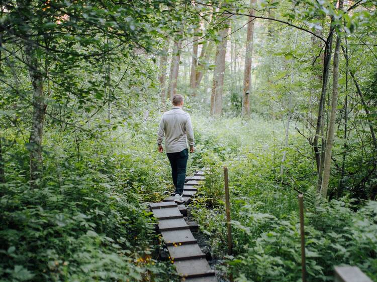 Explore the city’s nature trails Explore the city’s nature trails