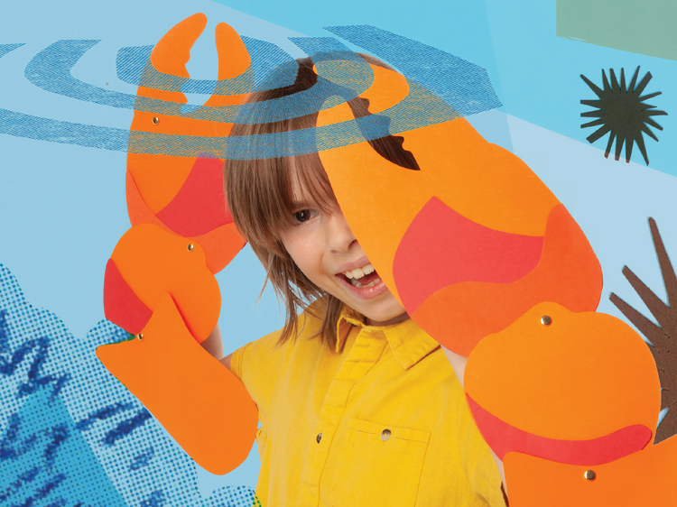 Admirar bichos com super-poderes Admirar bichos com super-poderes