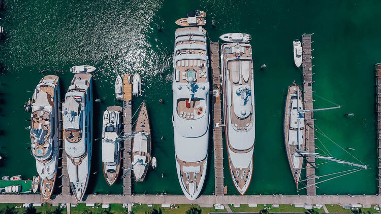 Fleet of yachts