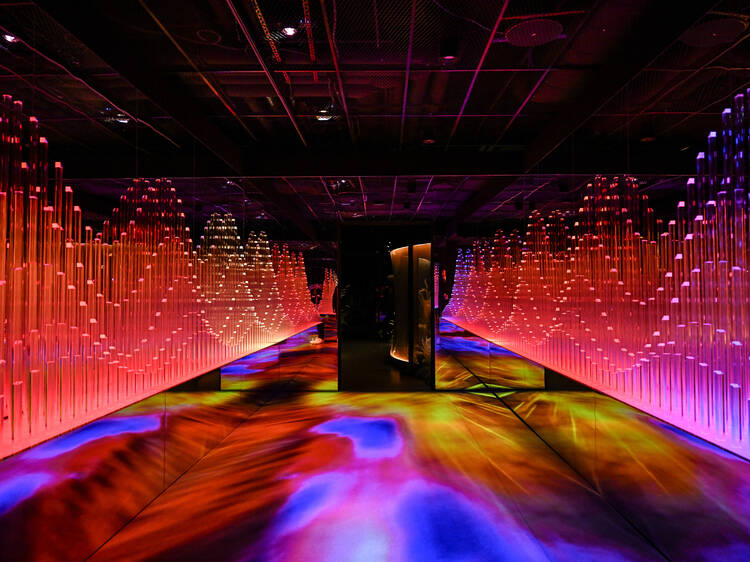 Best free things to do in NYC Best free things to do in NYC