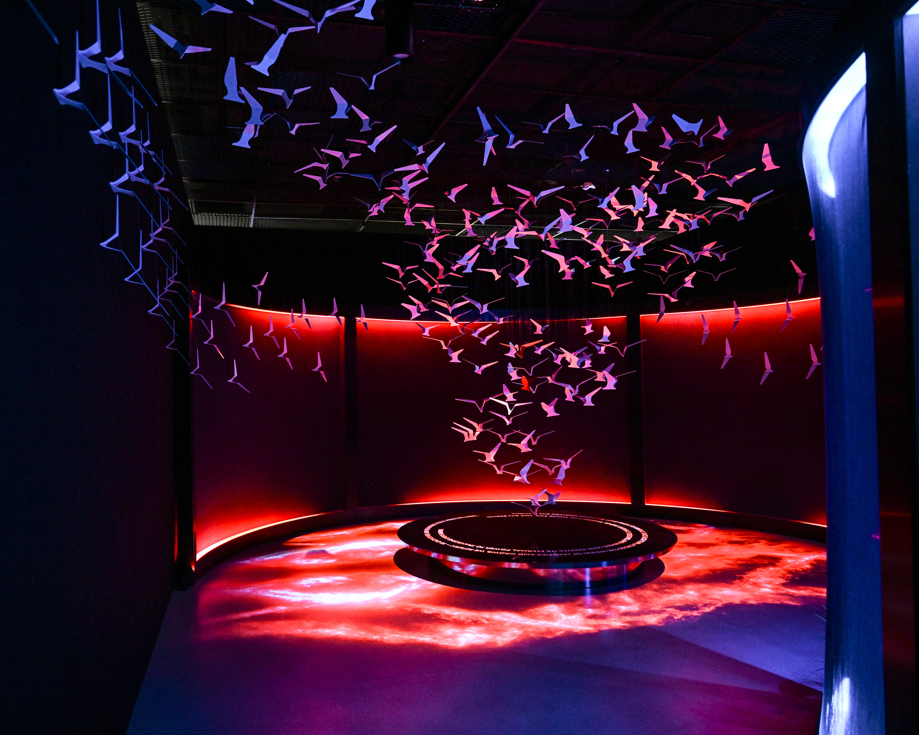 A display of birds with a red hued backdrop.