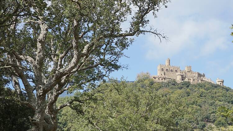 Bosque de Requesens, a los pies del castillo