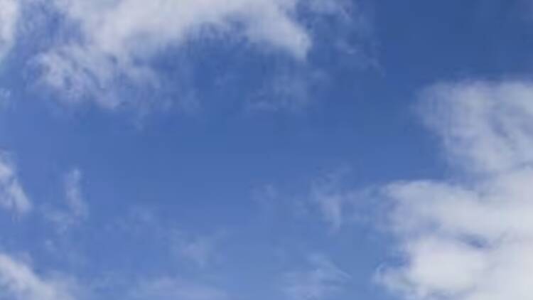 Bobbie Trap, na inauguração, em 2015