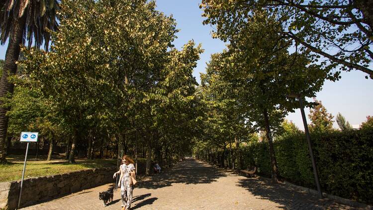 As melhores coisas para fazer em Paranhos