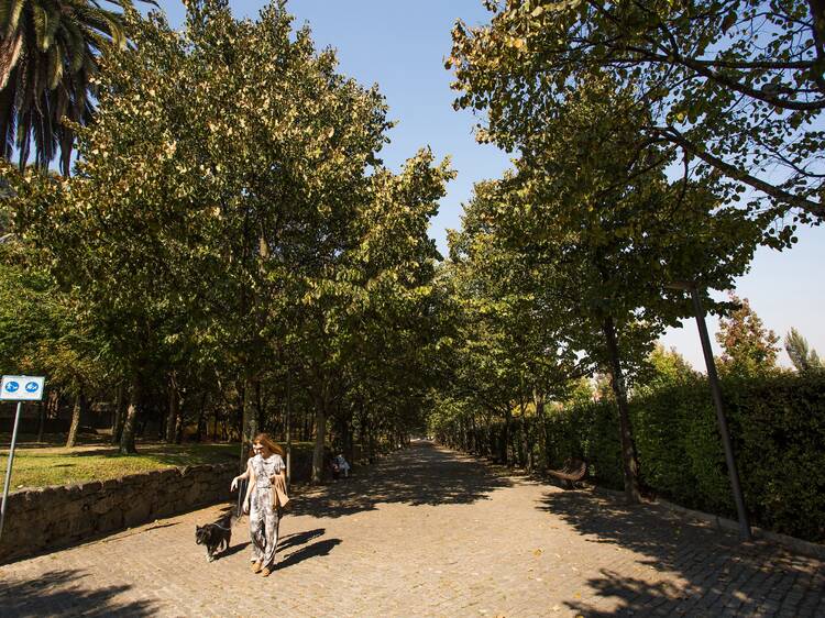 As melhores coisas para fazer em Paranhos