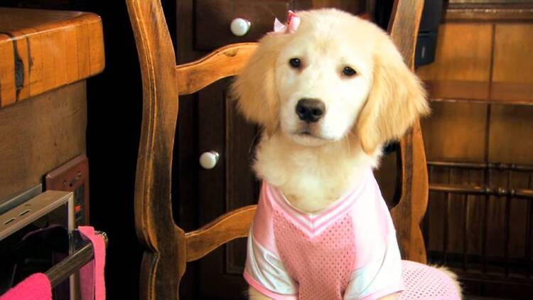 Spooky Buddies (2011) Spooky Buddies (2011)