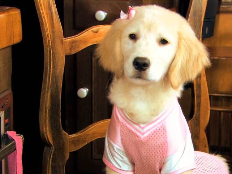 Spooky Buddies (2011) Spooky Buddies (2011)