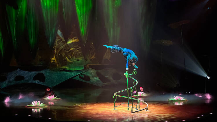 OVO Cirque Du Soleil CDMX
