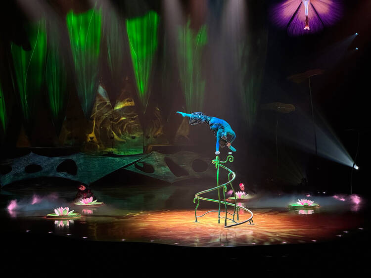 Show OVO Cirque Du Soleil