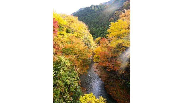 秋川渓谷