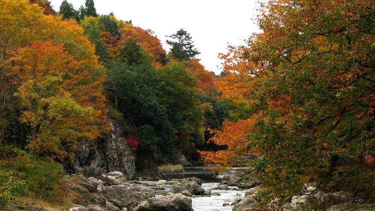 秋川渓谷