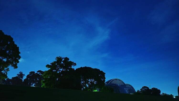夢の島公園 夢の島公園